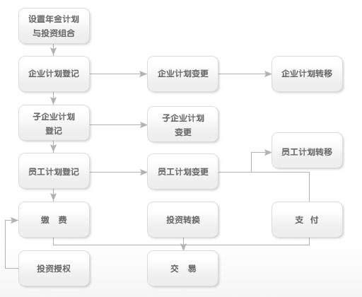 平安年金账户管理流程