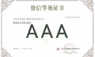 ��ȫ�������������޹�˾����AAA����Ĳ���ʵ������