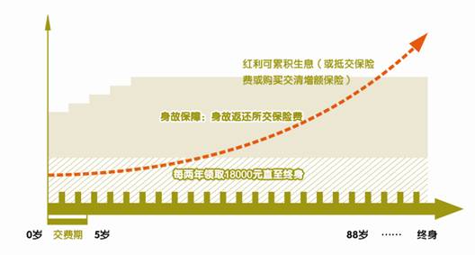 平安富贵人生两全保险（分红型）投保示例